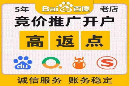 百度竞价运营策略：成功案例解析